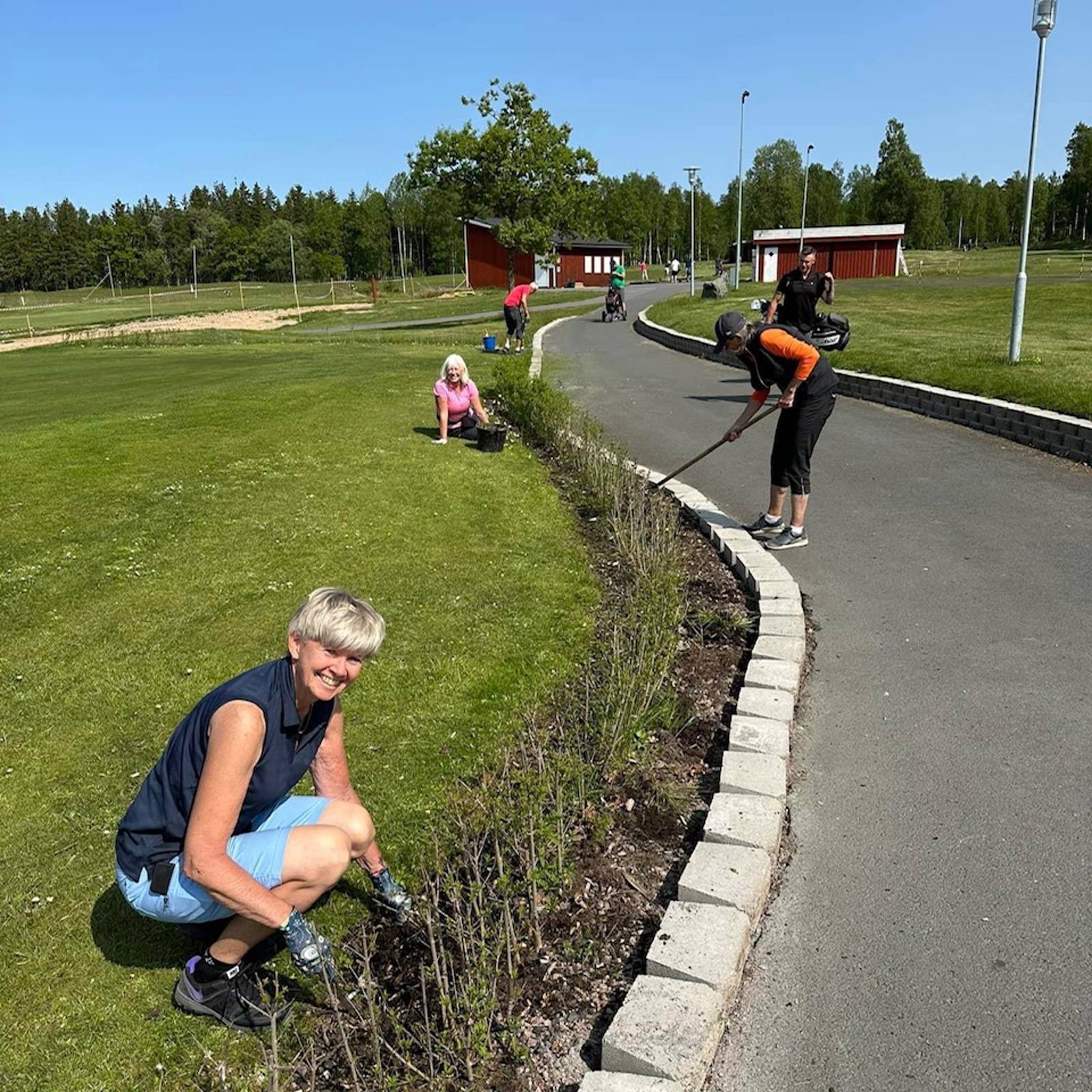 Rabattrensning 2