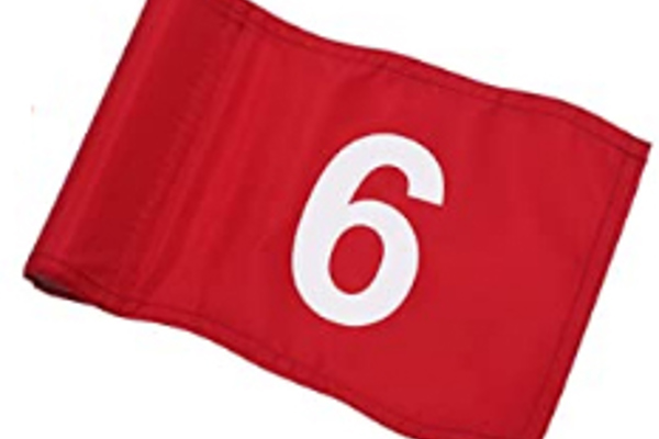 Veteranmästaren 6