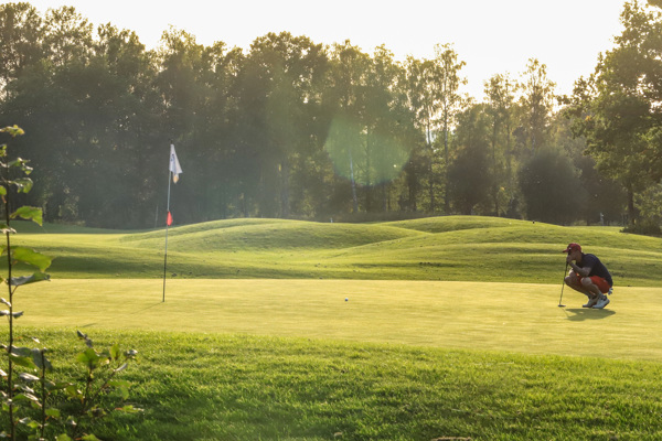 50 Guldmedlemskap tillgängliga