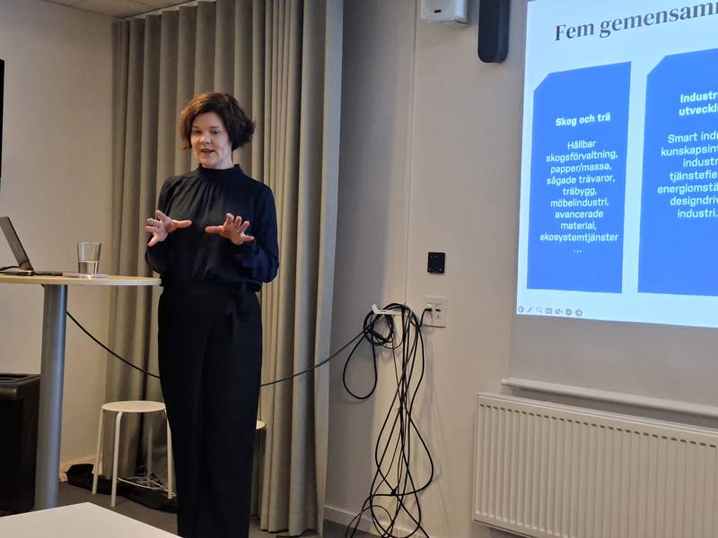 Hanna Aspklint, Science Park om entreprenörskap, innovation och hållbar tillväxt