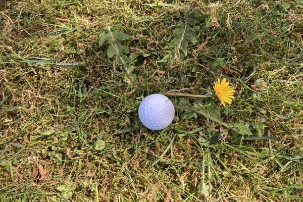 Hemliga resan 2 juni