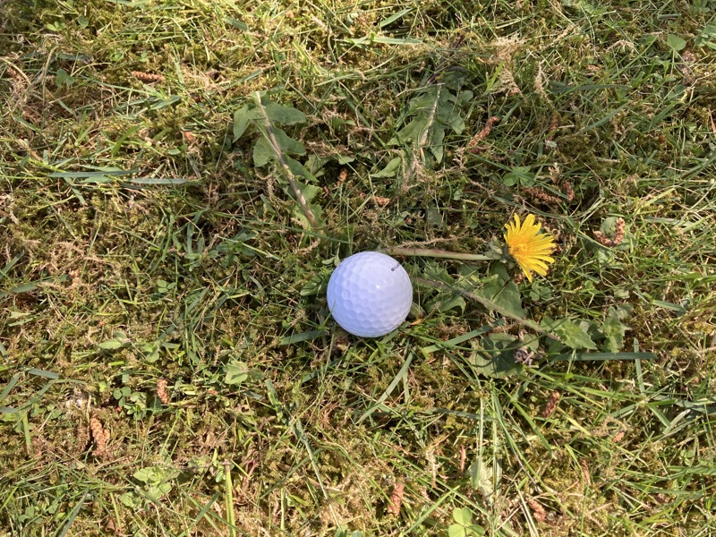 Hemliga resan 2 juni